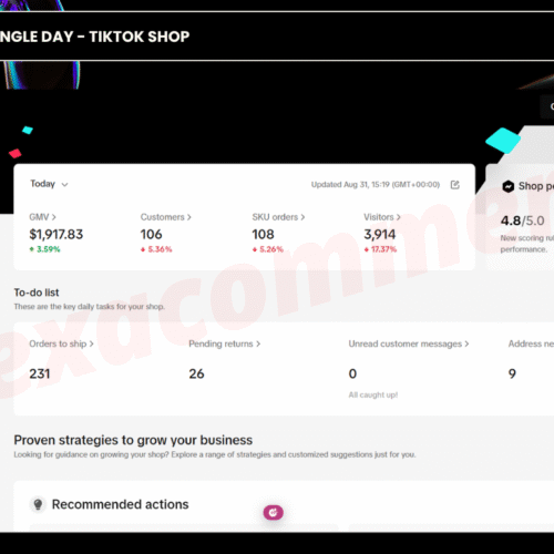 100+ Orders in a Single day – Tiktok shop